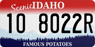 ID license plate 1O8022R