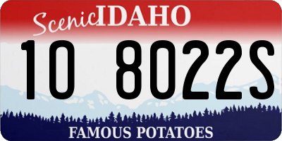 ID license plate 1O8022S