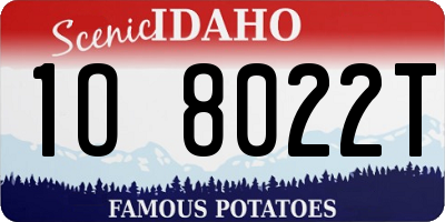 ID license plate 1O8022T