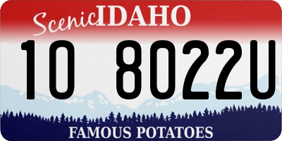 ID license plate 1O8022U