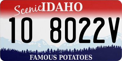 ID license plate 1O8022V