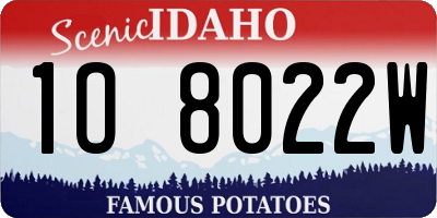 ID license plate 1O8022W