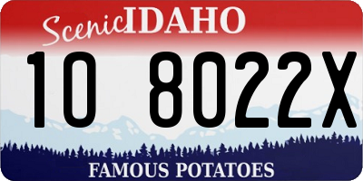 ID license plate 1O8022X
