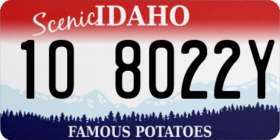 ID license plate 1O8022Y