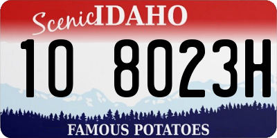 ID license plate 1O8023H