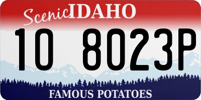 ID license plate 1O8023P