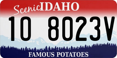 ID license plate 1O8023V