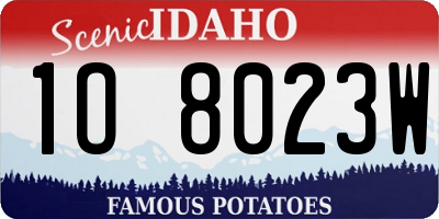 ID license plate 1O8023W
