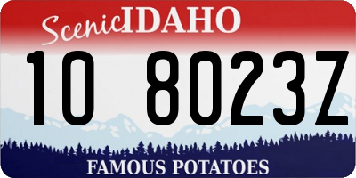 ID license plate 1O8023Z