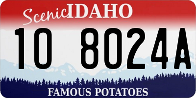 ID license plate 1O8024A