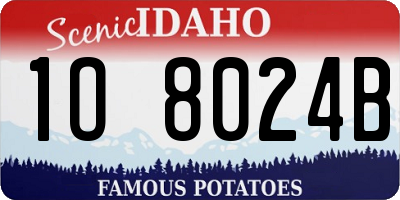 ID license plate 1O8024B