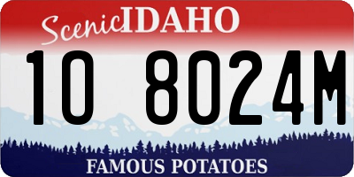 ID license plate 1O8024M