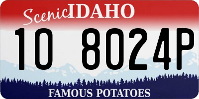 ID license plate 1O8024P