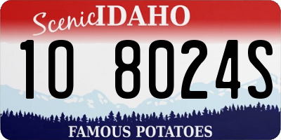 ID license plate 1O8024S