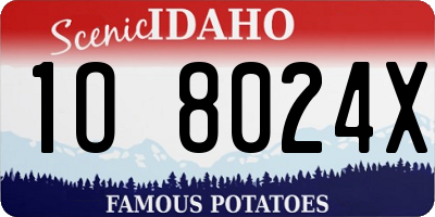 ID license plate 1O8024X