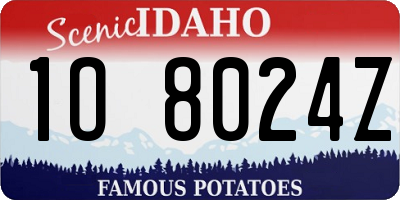 ID license plate 1O8024Z