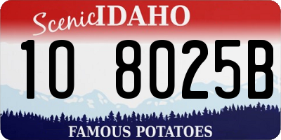 ID license plate 1O8025B