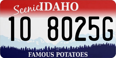 ID license plate 1O8025G