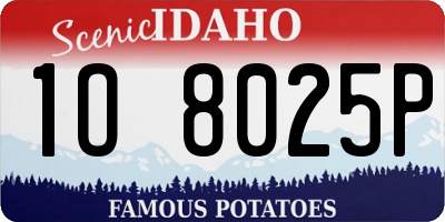 ID license plate 1O8025P