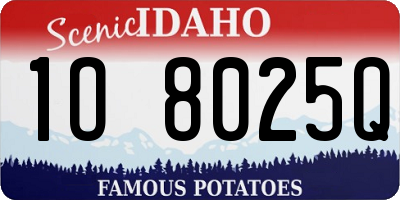 ID license plate 1O8025Q