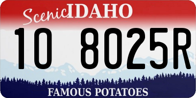 ID license plate 1O8025R