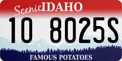 ID license plate 1O8025S