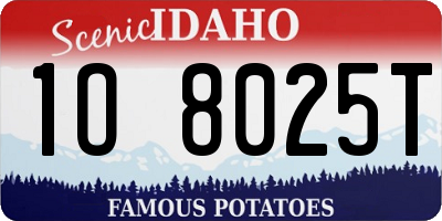 ID license plate 1O8025T