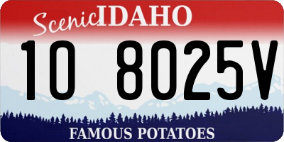 ID license plate 1O8025V