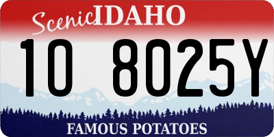 ID license plate 1O8025Y