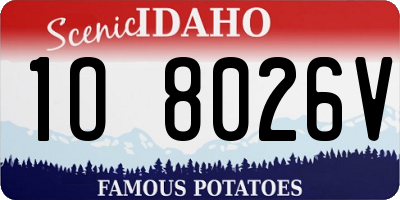 ID license plate 1O8026V