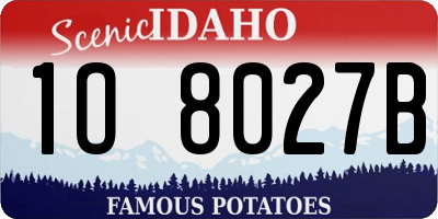 ID license plate 1O8027B