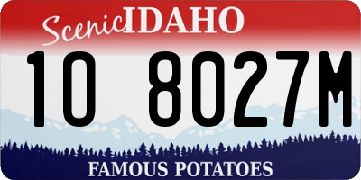 ID license plate 1O8027M