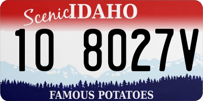 ID license plate 1O8027V