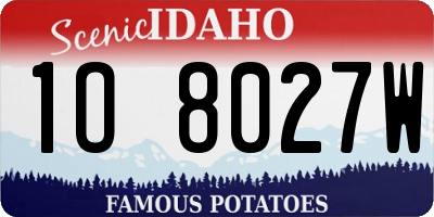 ID license plate 1O8027W