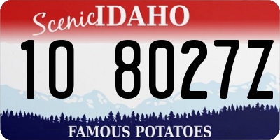 ID license plate 1O8027Z