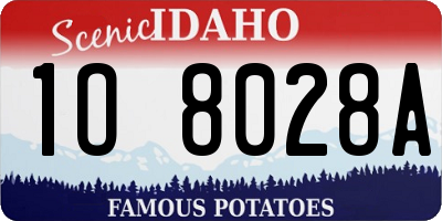 ID license plate 1O8028A