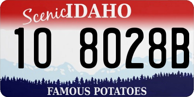 ID license plate 1O8028B