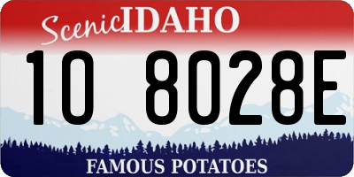 ID license plate 1O8028E