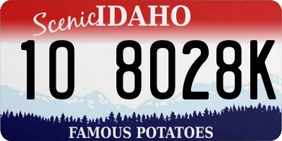 ID license plate 1O8028K