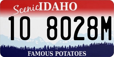 ID license plate 1O8028M