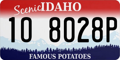 ID license plate 1O8028P