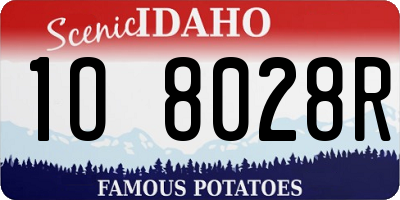 ID license plate 1O8028R