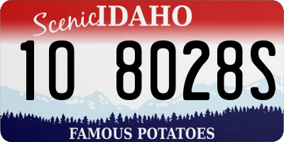 ID license plate 1O8028S
