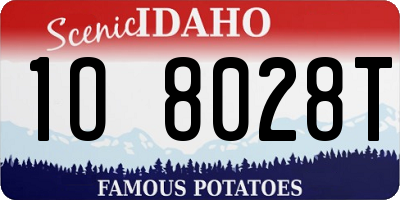 ID license plate 1O8028T