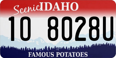 ID license plate 1O8028U