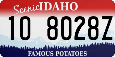 ID license plate 1O8028Z