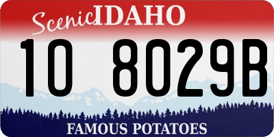 ID license plate 1O8029B