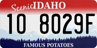 ID license plate 1O8029F