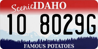 ID license plate 1O8029G