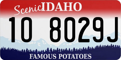 ID license plate 1O8029J